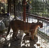 Zoo & Sanctuary